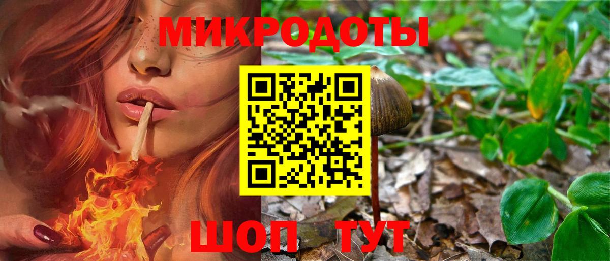 Подольск  Псилоцибиновые грибы GOLDEN TEACHER  где купить наркоту  Вход с VPN 