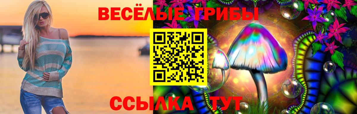 Псилоцибиновые грибы прущие грибы Подольск