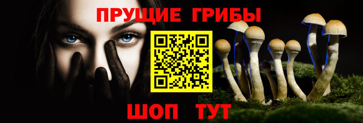 Меф Подольск